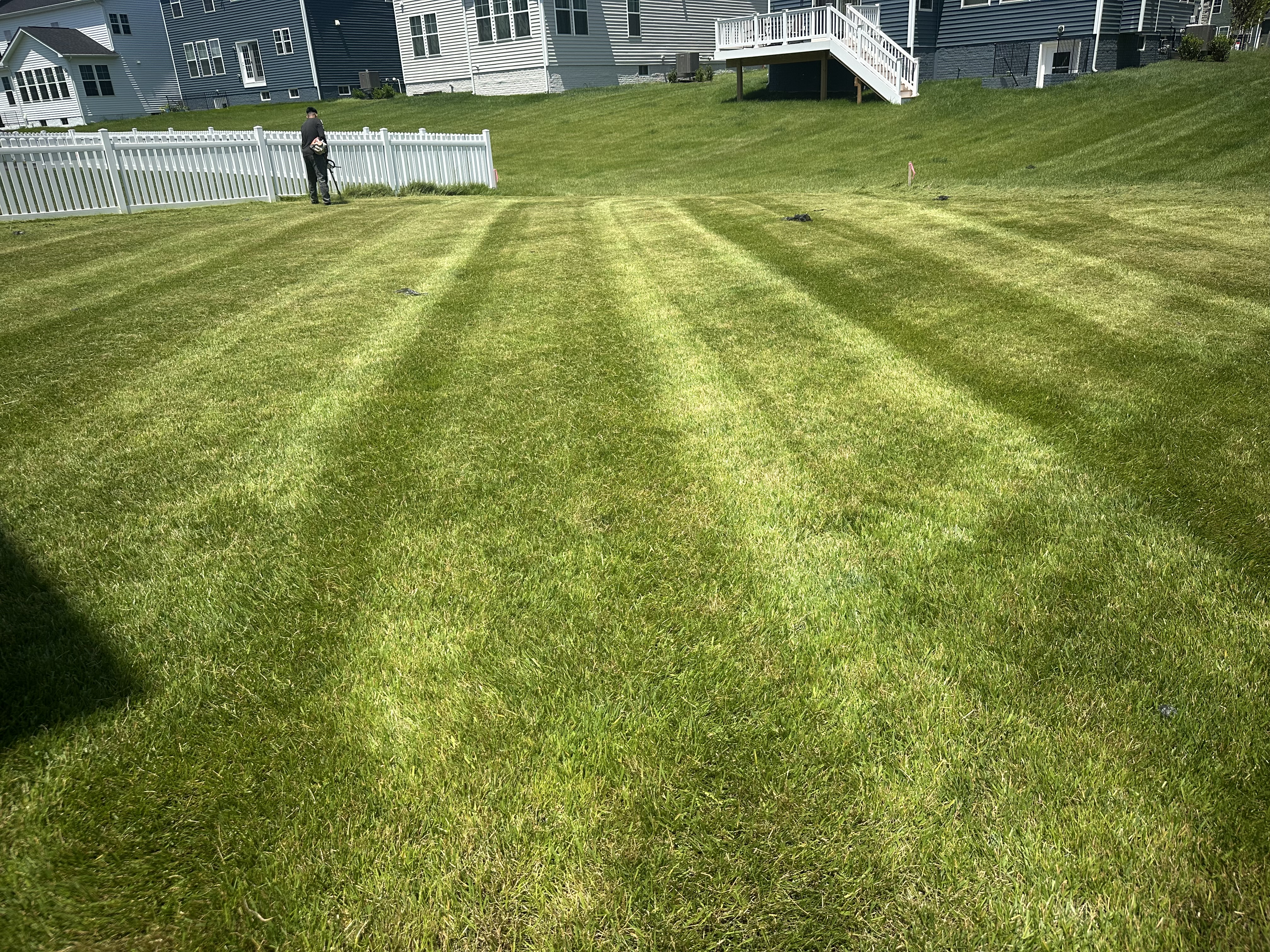 Landscaping