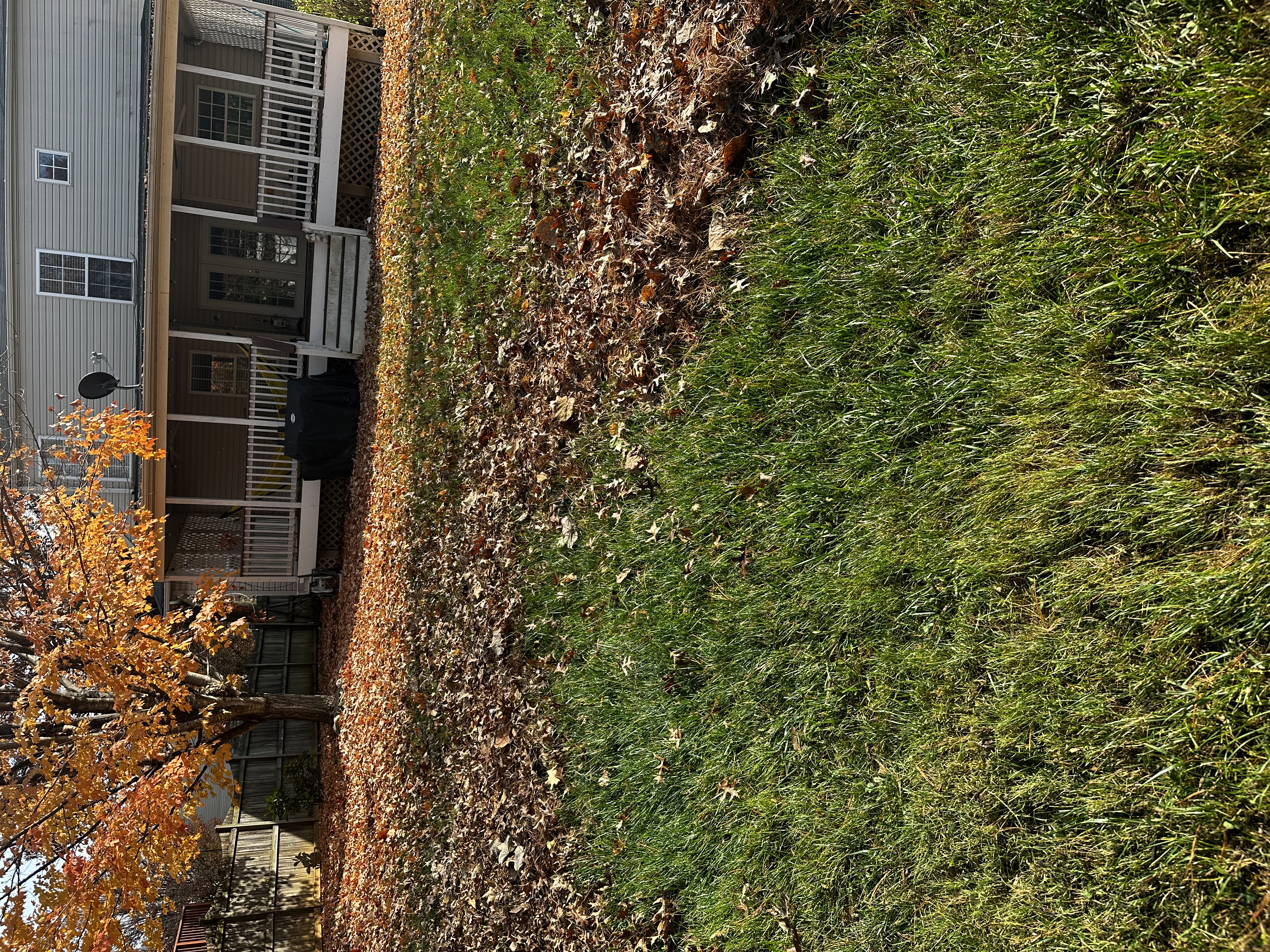 Seasonal Cleanups