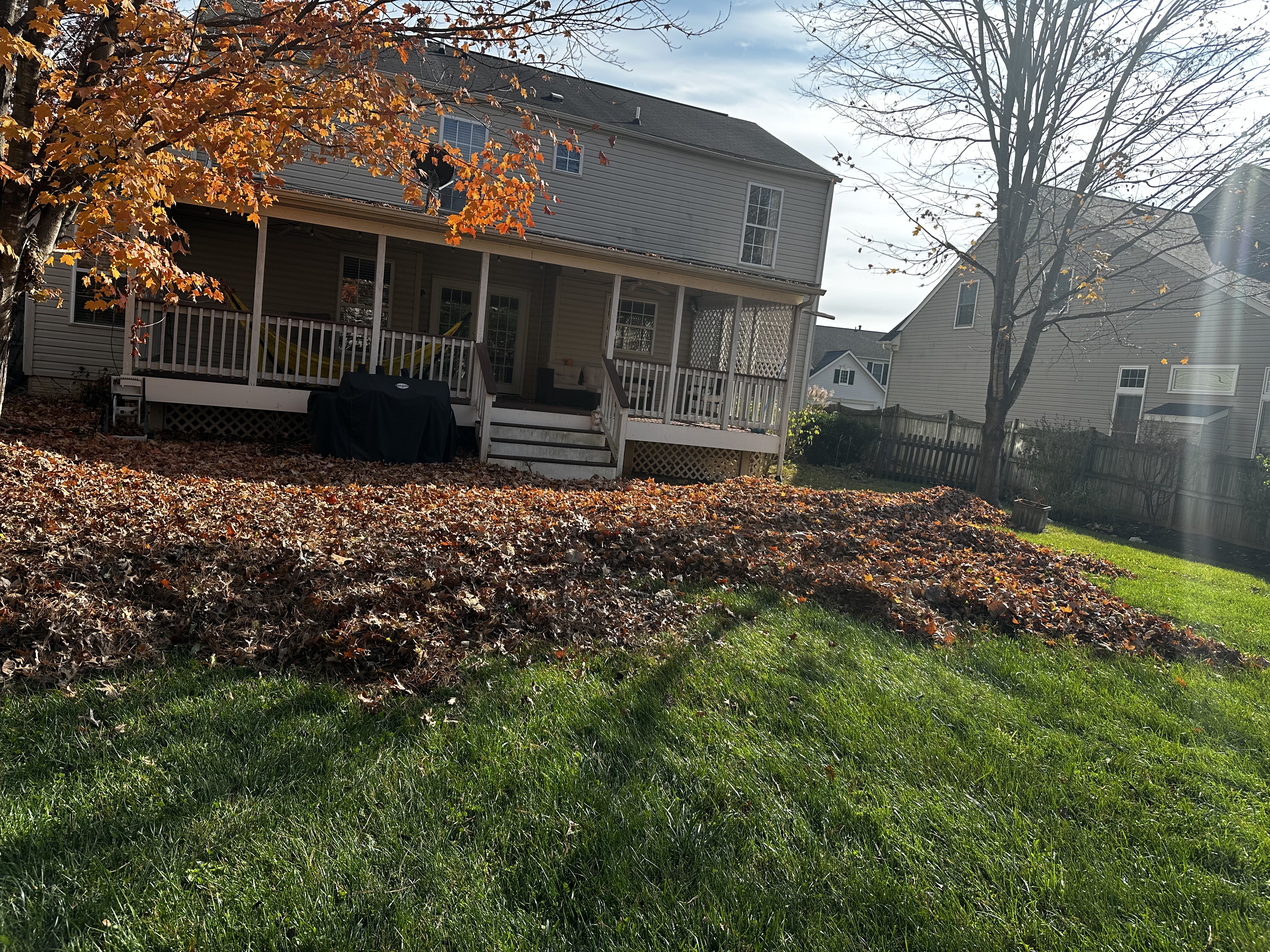 Tree Care